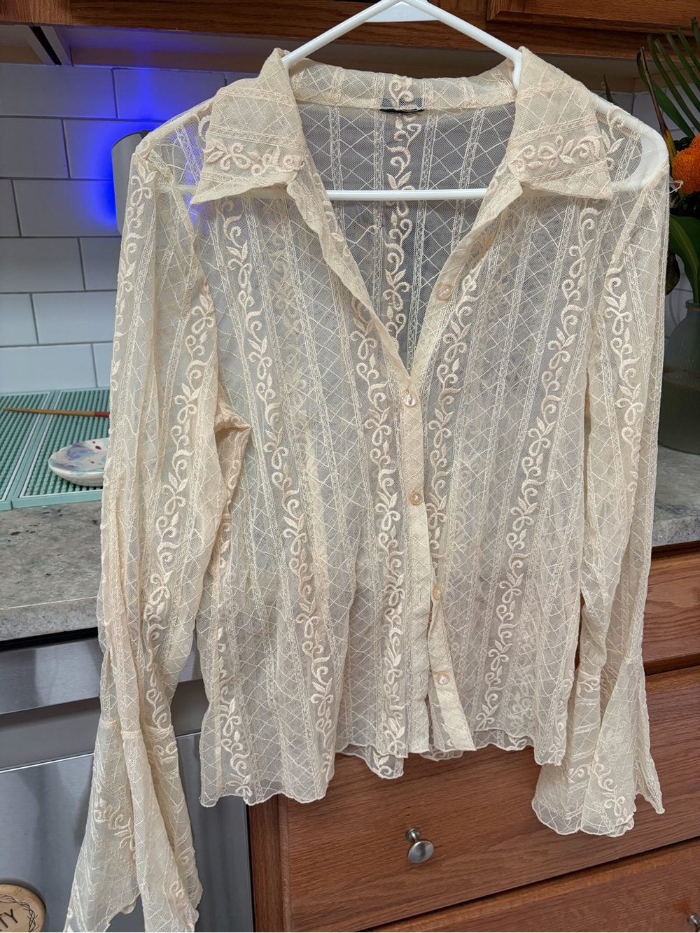 Sheer Lace Button-Front Women's Top in Cream